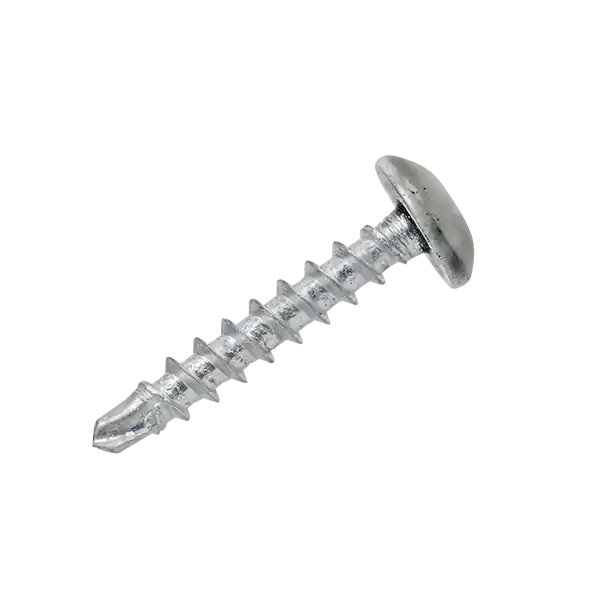 Sista chansen Fönsterbleckskruv